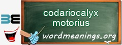 WordMeaning blackboard for codariocalyx motorius